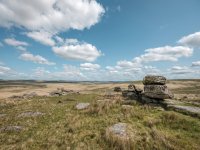 010 Fox Tor 04-0474 PS Adj.JPG