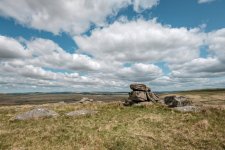 012 Fox Tor 06a-0480 PS Adj.JPG