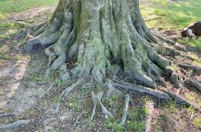 IMG_1072.jpeg