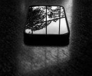 Near-By-BW.jpg
