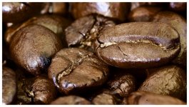 L1008531 Edited.jpeg