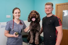 VP Ringo _ original (1 of 1) - A1205432-Enhanced-NR.jpg