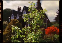 Scotland 2023 really small.JPG