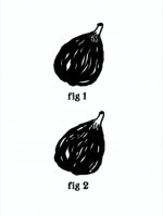 fig.jpg