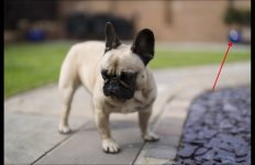 Screenshot 2023-06-07 at 21.10.28.jpg