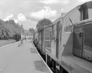 Diesel Train.jpg Diesel Train.jpg