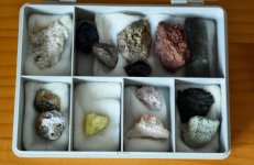 DPOY challenge - month 6 - created by nature (1 of 1).jpg