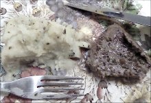 Well done steak with bubble and squeak TZ70 P1030852.JPG