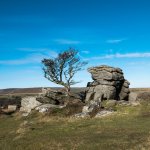 004 Emsworthy Rocks (Tree) 03-1010716 PS Adj.JPG