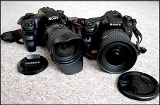 Sony A65s with Tamron and Sigma lenses GX7 P1140617.JPG