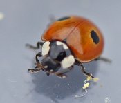 IMG_8817.jpg