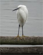 FB - VenusPool280623-067.jpg