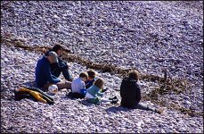 Sitting on the pebble beach Sidmouth A65 DSC00308.jpg