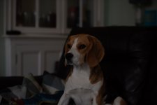 Photo 1 Original.jpg