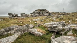 013 Doe Tor 05-6791 PS Adj.JPG