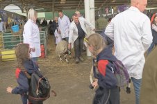 gys-lonks (15 of 57).jpg