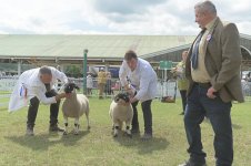 gys-lonks (49 of 57).jpg