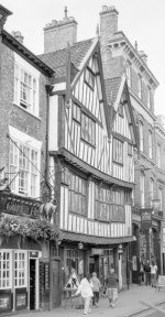 golden fleece comp.jpg