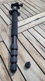 20230721_110339.jpg
