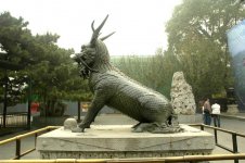 DSC_3461 (Medium).JPG