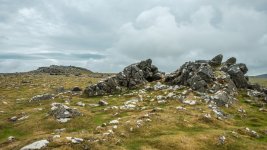 001 Cox Tor 01-6849 PS Adj.JPG