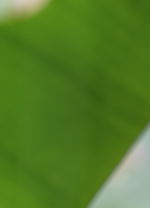 1690283125858.png 1690283125858.png