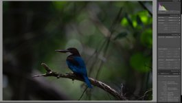 IMG_3021.jpeg