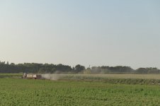 _7825711.jpg