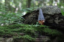 Gnome.jpg Gnome.jpg