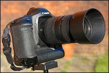 Camera Canon 1Ds II on tripod Sony DSC-R1 07088.jpg