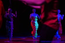 CIRCUS-3.jpg