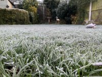 IMG_5314.jpeg