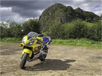 IMG_1574[1]  NEW PS TP.jpg