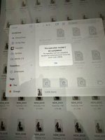 IMG_3187.jpeg