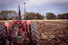 Week 35 - snapper#s choice-0771.jpg