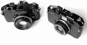 IMG_0927_adobe_express.jpeg