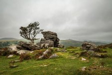 006 Emsworthy Rocks Lone Tree 03-1982 PS Adj.JPG