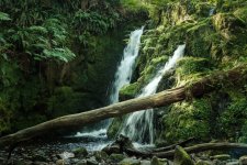 004 Venford Falls 01-7056 PS Adj.JPG