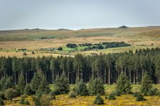 021  Powder Mills from Bellever Tor 01-1001026 PS Adj.JPG