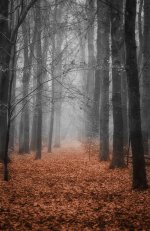 Ashridge Hand Tint.JPG