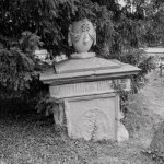 IMG_3099 (2).jpg