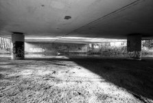 Superfluous Swan.JPG