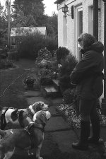 IMG_8737.jpeg
