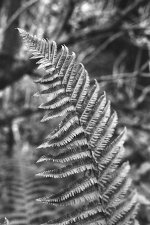 IMG_2023-09-28-191730.jpeg