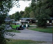 Bus colour.JPG