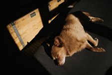 Yuffie Sleeping GR (1 of 1) - R0000292.jpg