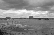 2108BPMXBW30 Beach cricket.jpg
