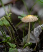 Oct 14-23 (15 of 17).JPG