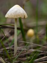 Oct 14-23 (10 of 17).JPG