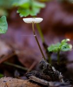 Oct 07-23 (1 of 1)-4.JPG